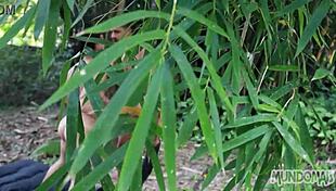 Gay Guys Suck Big Cocks Bareback In The Woods