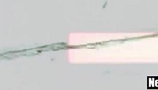 Black Jock 3Some Fucks White Asses Hard!