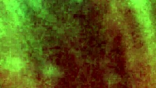 Lovely blowjob from this gay guy?