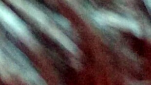 Lovely blowjob from this gay guy?