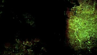 vintage art collection