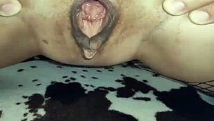 milf wife in fishnet lingerie getting anal stretched by big cock