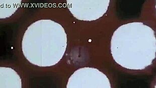 Vintage Drawings Depicting Erotic Scenes In Detail