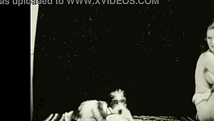 I’m obsessed with beauty and beast from dark lantern