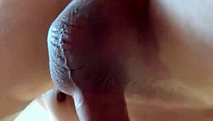 Shavencock Breeds My Ass