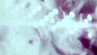 Vintage cartoon illustration details