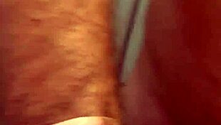 alineflavio - update 151 - 1 5118348591483585872 - sep 11 2024