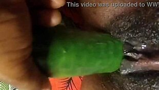 Cyndy blackslave fucks cucumber close up with squirt