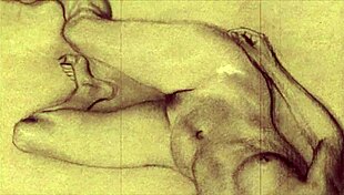 Vintage erotic drawings tease with hidden sensual secrets