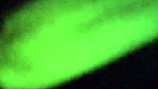 Pounding My Gay Ass Hard