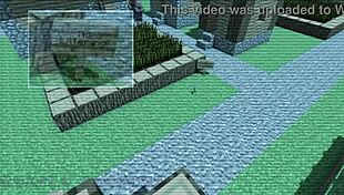 Villager news in polish dub