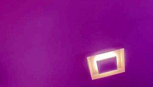 ALINEFLAVIO UPDATE 157 VIDEO OCT 01 2024