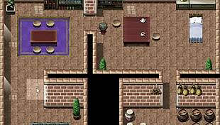 the npc you can interact with in hentai roleplay game