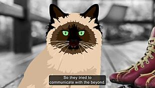 Calling a medium to intervene with roommate situation