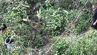 this wild gay sex in the woods part 1 with monster cocks and bareback action! 😈