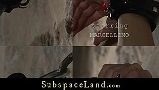 Delicious Blonde Tied Up And Fucked