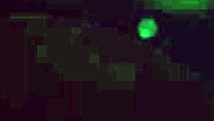 he strokes his beautiful cock bigger with emotion