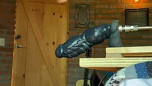 Gay Sissy Polar Bear Takes It Hard! 🐻