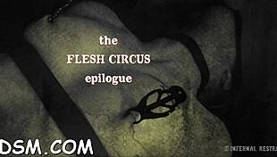 free sadomasochism clips with hardcore fucking and sucking