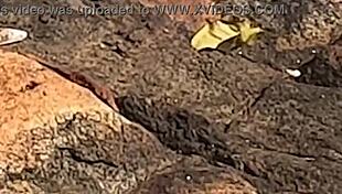 Beautiful young girl gets watched having public sex on beach rocks!