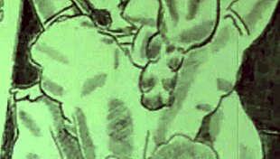 Vintage Erotic Drawings