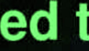 Wild 3D Anime Hentai with Young Pussy in Uncensored Action