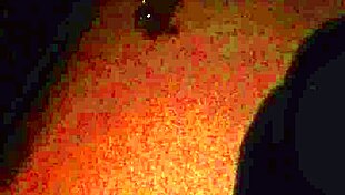 Verification Video For Gay Content