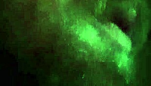 Verification Video For Gay Content