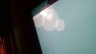 Verification Video For Gay Content