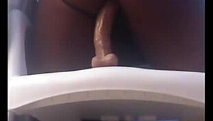 Solo play with a black beauty on a chair