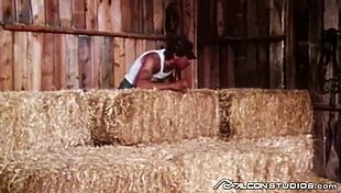 Hey Kumpel, schau dir diese vintage Jocks beim Spitroast mit einem saftigen großen Schwanz an!