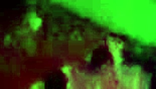 mi amigo me cogio de vuelta, lo extrañaba ya