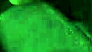 Complete Gameplay In Santa County Part 11