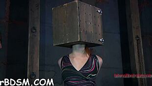 Hotty Bound And Bent Over For Rough Blowjob