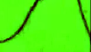 Vintage Erotic Drawings