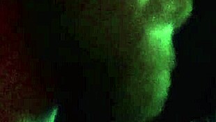 Verification Video For Gay Content