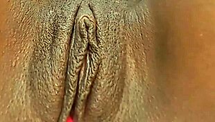 Bbw Receives Large Creampie In Group Setting