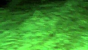 Following Stranger In Public City Outskirts