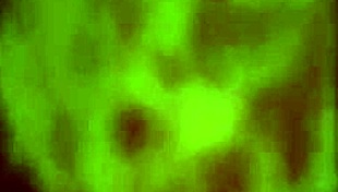 cammy with the cake and big black cock in anime hentai