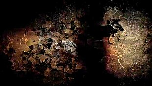 What’s this vintage erotic illustration all about?!