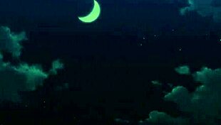 Monster Musume No Iru Nichijou 08: Daily Life With Monsters