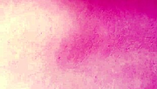 viral stepson affair with stepmother in homemade anal scene