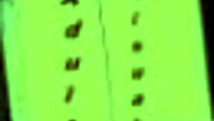 Leap Of Faith 38 Hentai Cartoon Erotic Anime Adventure