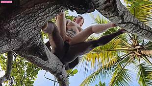 my lover fucks my ass on a tall tree, his big black cock stretching me