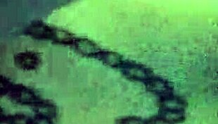 What A Crazy, Sexy Fuck With This Curvy Latina