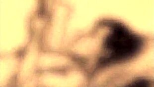 my secret life unveiled in vintage hentai cartoon style