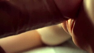 doggy style penetration on a macro lens in great detail?