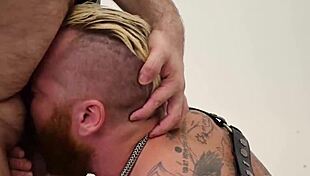 hairy muscular hunk raw fucks blond gay after rimjob