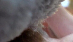 Fucking A Teddy Bear In Gay Fantasy