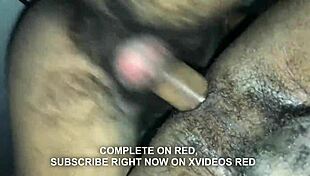 19, I love the view of my hairy ass while smashing 😍